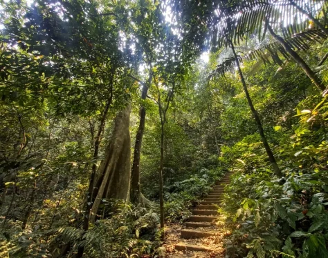 Full Day to Cuc Phuong National Park Trekking Tour – Private